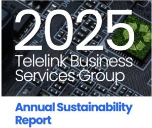 Telelink Business Services